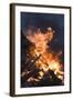 Flames From a Bonfire-Mark Williamson-Framed Premium Photographic Print