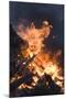 Flames From a Bonfire-Mark Williamson-Mounted Premium Photographic Print