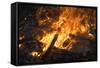 Flames From a Bonfire-Mark Williamson-Framed Stretched Canvas