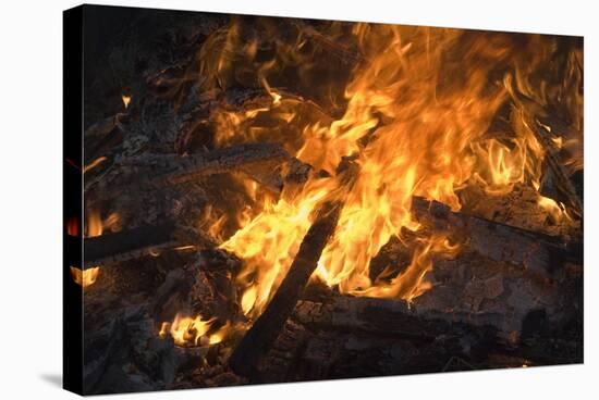 Flames From a Bonfire-Mark Williamson-Stretched Canvas