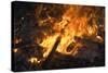 Flames From a Bonfire-Mark Williamson-Stretched Canvas