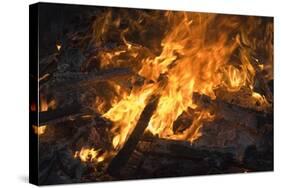 Flames From a Bonfire-Mark Williamson-Stretched Canvas