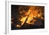 Flames From a Bonfire-Mark Williamson-Framed Premium Photographic Print