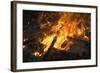 Flames From a Bonfire-Mark Williamson-Framed Premium Photographic Print