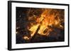 Flames From a Bonfire-Mark Williamson-Framed Premium Photographic Print