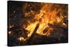 Flames From a Bonfire-Mark Williamson-Stretched Canvas