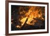 Flames From a Bonfire-Mark Williamson-Framed Photographic Print