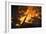 Flames From a Bonfire-Mark Williamson-Framed Photographic Print