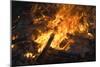 Flames From a Bonfire-Mark Williamson-Mounted Photographic Print