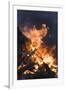 Flames From a Bonfire-Mark Williamson-Framed Photographic Print