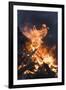 Flames From a Bonfire-Mark Williamson-Framed Photographic Print