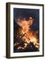 Flames From a Bonfire-Mark Williamson-Framed Photographic Print