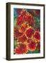 Flames of Color-Joanne Porter-Framed Giclee Print