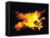 Flames of Fire, Studio Shot-null-Framed Stretched Canvas