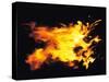 Flames of Fire, Studio Shot-null-Stretched Canvas