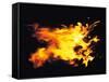 Flames of Fire, Studio Shot-null-Framed Stretched Canvas