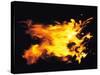 Flames of Fire, Studio Shot-null-Stretched Canvas