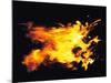 Flames of Fire, Studio Shot-null-Mounted Photographic Print