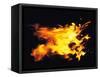 Flames of Fire, Studio Shot-null-Framed Stretched Canvas