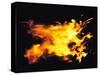 Flames of Fire, Studio Shot-null-Stretched Canvas