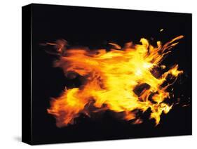 Flames of Fire, Studio Shot-null-Stretched Canvas