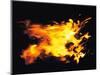 Flames of Fire, Studio Shot-null-Mounted Photographic Print