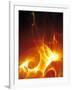 Flames-PASIEKA-Framed Photographic Print