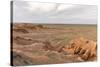 Flaming cliffs, Bajanzag, South Gobi province, Mongolia, Central Asia, Asia-Francesco Vaninetti-Stretched Canvas