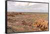 Flaming cliffs, Bajanzag, South Gobi province, Mongolia, Central Asia, Asia-Francesco Vaninetti-Framed Stretched Canvas