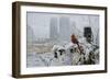 Flaming Glory-Michael Budden-Framed Giclee Print