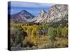 Flaming Gorge NRA, Utah. Overlook into Sheep Creek Canyon in Autumn-Scott T. Smith-Stretched Canvas