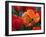 Flaming Parrot Tulips in Bloom-Charles Benes-Framed Premium Photographic Print