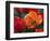 Flaming Parrot Tulips in Bloom-Charles Benes-Framed Photographic Print