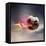 Flaming Soccer Ball-null-Framed Stretched Canvas