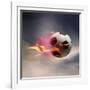 Flaming Soccer Ball-null-Framed Photographic Print