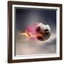 Flaming Soccer Ball-null-Framed Photographic Print