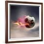 Flaming Soccer Ball-null-Framed Photographic Print