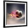 Flaming Soccer Ball-null-Framed Photographic Print