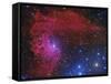 Flaming Star Nebula in the Constellation Auriga-Stocktrek Images-Framed Stretched Canvas