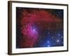 Flaming Star Nebula in the Constellation Auriga-Stocktrek Images-Framed Photographic Print