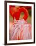 Flamingo 2-Dennis Goodman-Framed Photographic Print