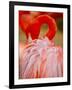 Flamingo 2-Dennis Goodman-Framed Photographic Print