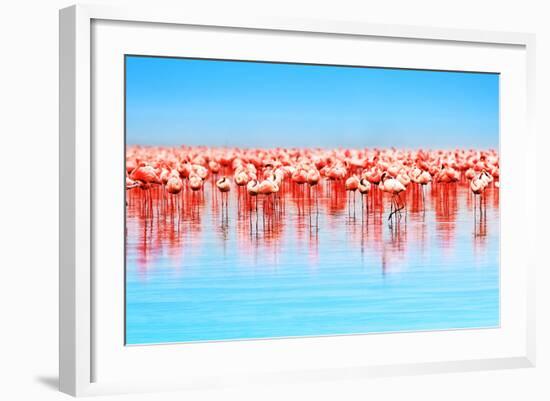 Flamingo Birds in the Lake Nakuru, African Safari, Kenya-Anna Om-Framed Photographic Print