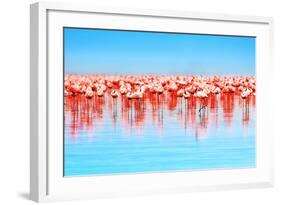 Flamingo Birds in the Lake Nakuru, African Safari, Kenya-Anna Om-Framed Photographic Print