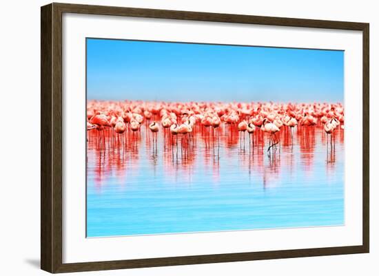 Flamingo Birds in the Lake Nakuru, African Safari, Kenya-Anna Om-Framed Photographic Print