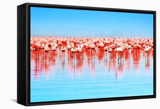 Flamingo Birds in the Lake Nakuru, African Safari, Kenya-Anna Om-Framed Stretched Canvas