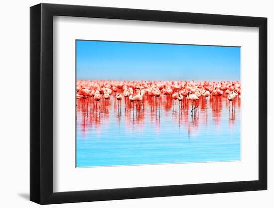 Flamingo Birds in the Lake Nakuru, African Safari, Kenya-Anna Om-Framed Photographic Print