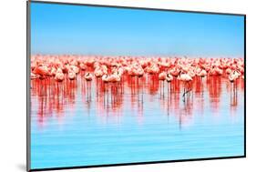 Flamingo Birds in the Lake Nakuru, African Safari, Kenya-Anna Om-Mounted Photographic Print