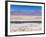 Flamingo Breeding Site, Laguna Chaxa, Salar De Atacama, Atacama Desert, Norte Grande, Chile-Gavin Hellier-Framed Photographic Print