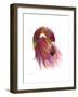 Flamingo Colors 2-Mark Ashkenazi-Framed Giclee Print